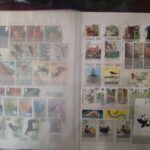 L012 CLASIFICADOR CUARTILLA CON 8 HOJAS TEMA FAUNA