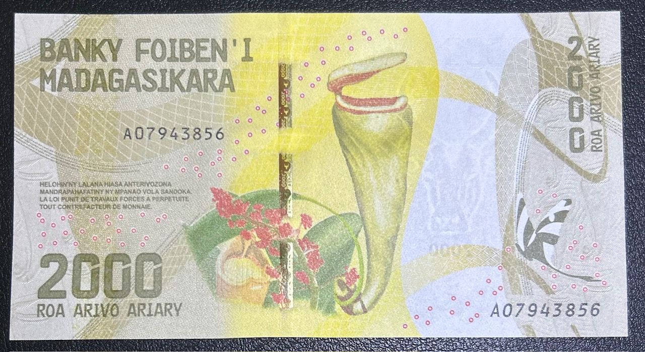 imagen-13-29891.jpg CRBX2070 BILLETE MADAGASCAR 2000 ARIARY 2017 SIN CIRCULAR - Imagen 1
