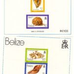 CRSEXT0036 SELLOS BELIZE Nº CAT 10-11 XX SIN CHARNELA