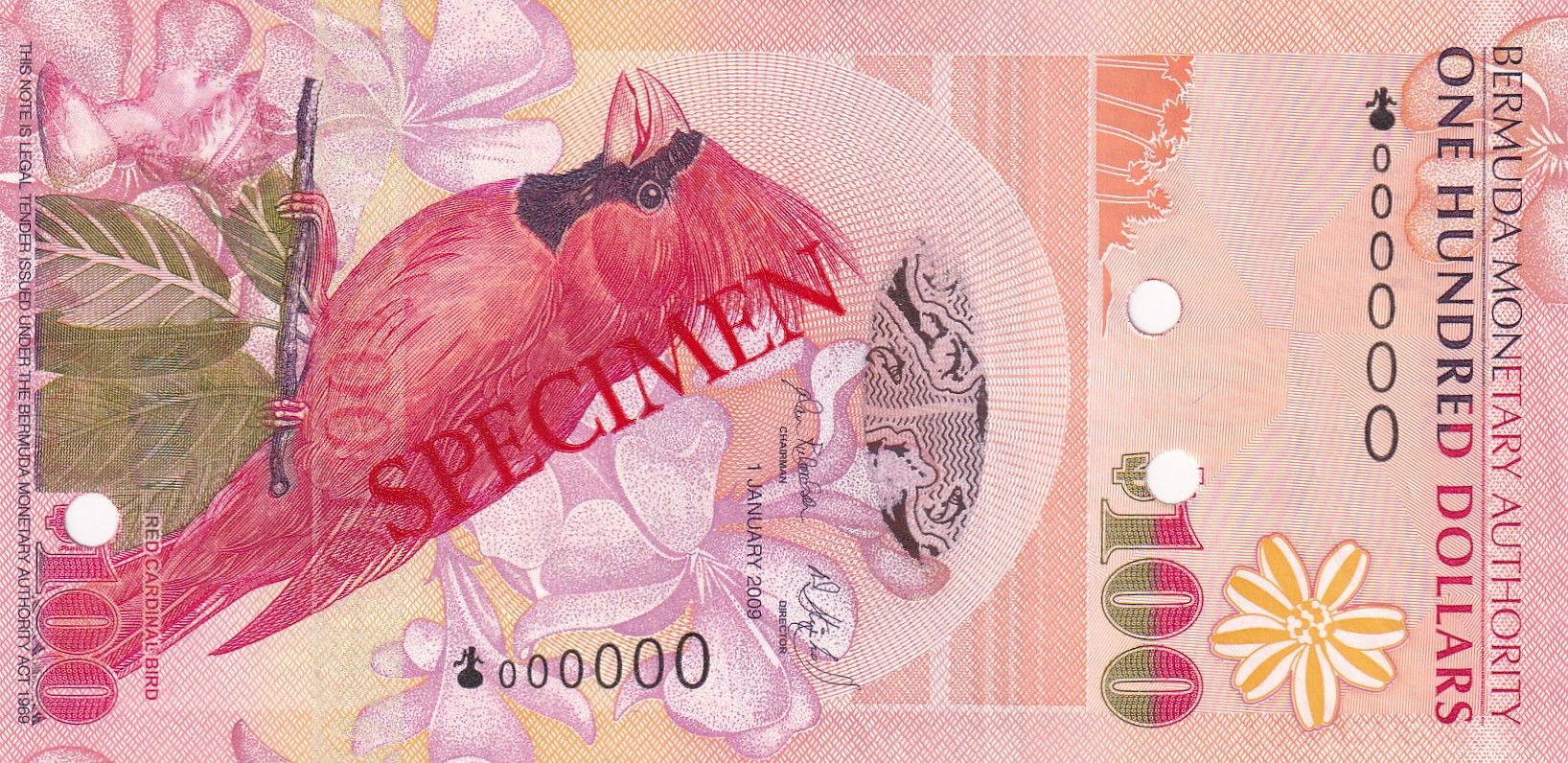 CRBX2737 CRBX2737 BILLETE BERMUDAS 100 DOLARES 2009 SPECIMEN SIN CIRCULAR - Imagen 1