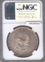 CRCAP243 MONEDA SUDAFRICA 5 SHILLINGS 1956 PL66 - Imagen 2