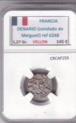 CRCAP255 MONEDA FRANCIA DENARIO CONDADO DE MELGUEIL VELLON