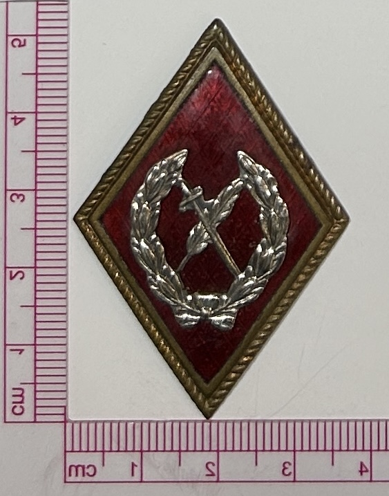 CREXP728 CREXP728 MEDALLA INSIGNIA MILITAR DEL PERSONAL ADM. Y DE OFICINA - Imagen 1